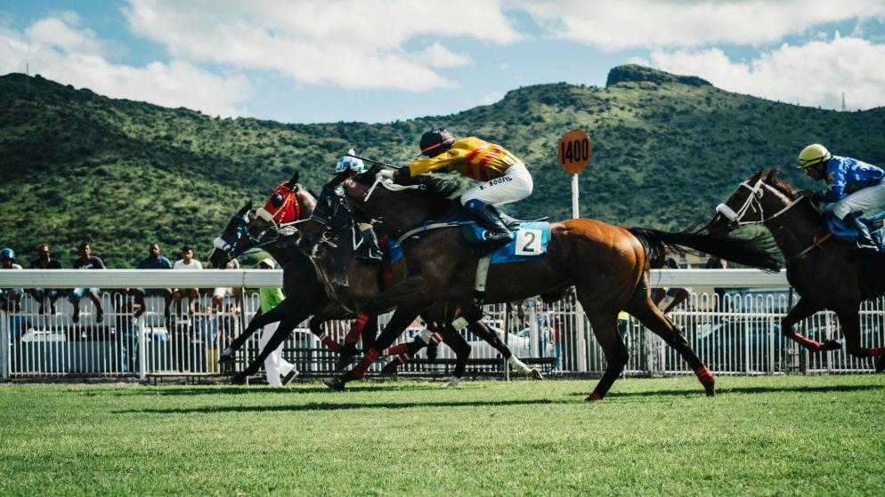 Bet On UK Horse Racing With Crypto